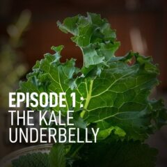 kale-underbelly-foodslain