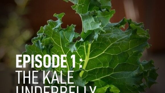 kale-underbelly-foodslain